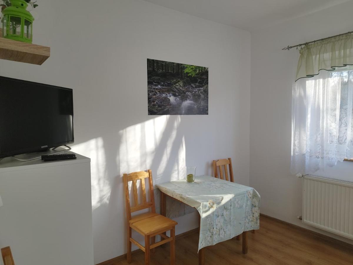 Jaskolka Daire Lądek-Zdrój Dış mekan fotoğraf